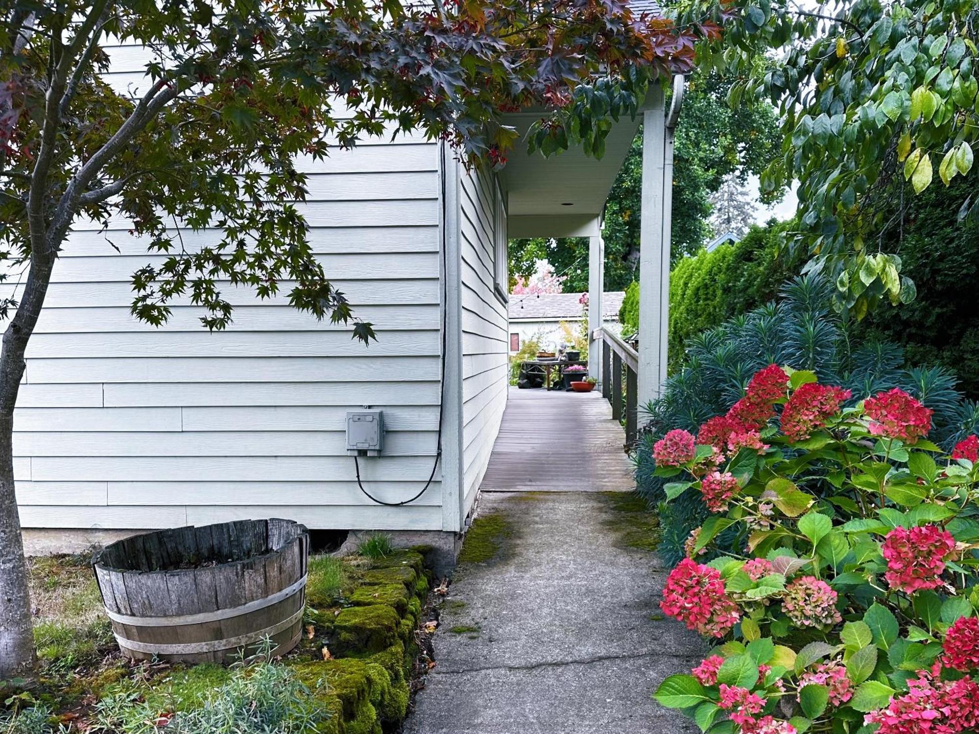 The Secret Garden Apartment